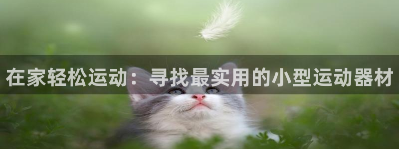 fb体育招商电话号码是多少号:在家轻松运动:寻找最实用的小型