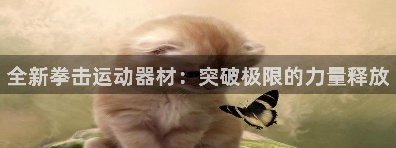 fb体育平台:全新拳击运动器材:突破极限的力量释放